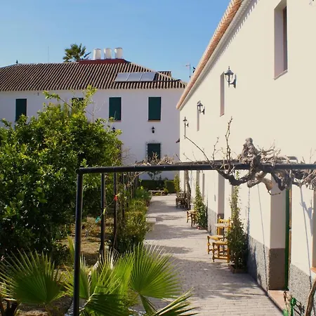 La Canota King Adults Only Talara