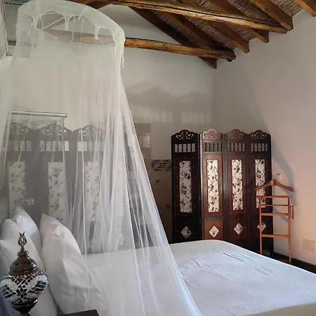La Canota King Adults Only Talara